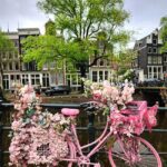 אופניים מקושטות חופשה באמסטרדם